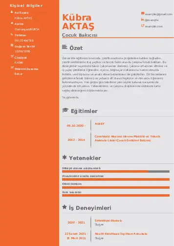 Çocuk Bakıcısı CV Örnekleri cv indir